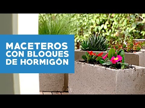 Macetero de hormigón DIY: crea uno en 5 pasos
