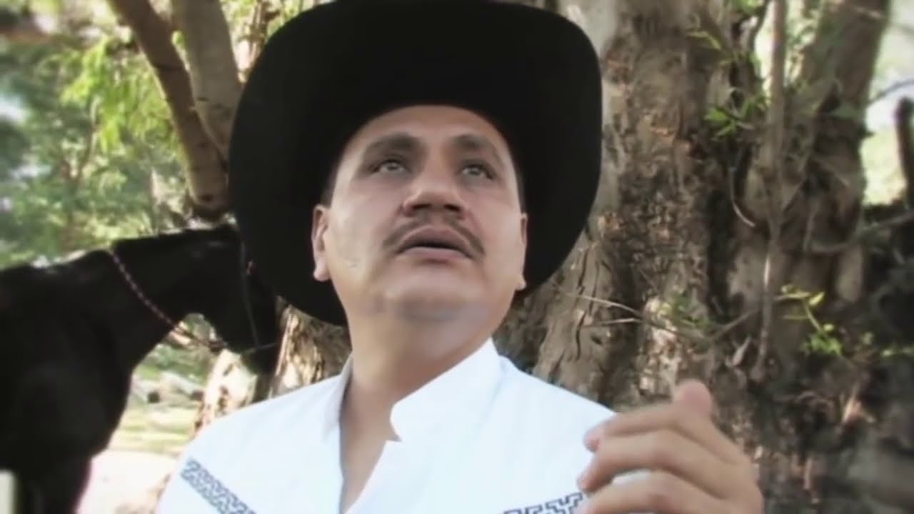 EL ARBOL Raúl Partida VideoClip Oficial  @RAULPARTIDA1  Suscríbete