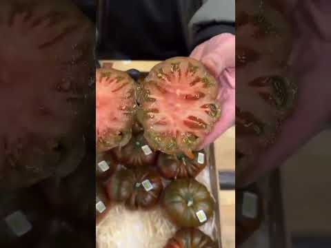 মা বাবা এমন এক জিনিস