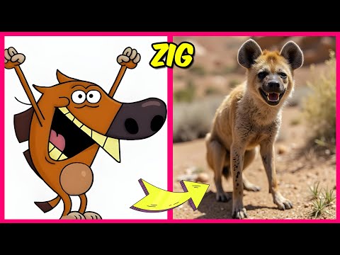 Zig and Sharko Characters In Real Life 🐬+ Squint Your Eyes + Their Favorite Foods, Movies & More!