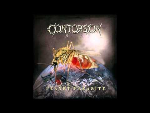 Contorsion ~ Planet Parasite