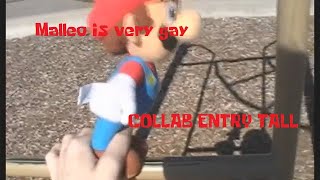 (TERRIBLE) YTP Collab Entry: Malleo is very Gay