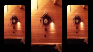 Die Wilde Jagd Album Trailer (official)