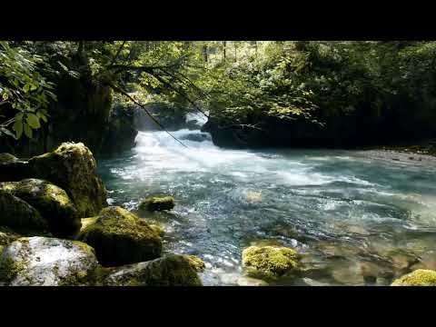 Nature's Refreshing Waters 🌊 Tranquil Sounds for Stress Relief 🍂 Unwind and Relax