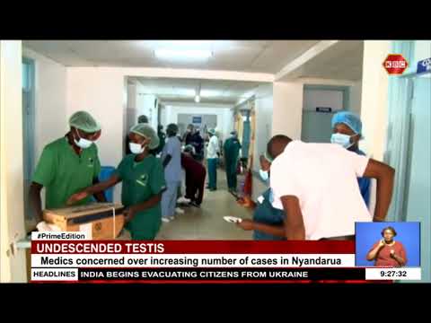 Medics raise concern over increasing number of undescended testis in Nyandarua