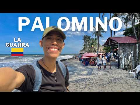 Así es PALOMINO, el PUEBLO más TURISTICO de COLOMBIA