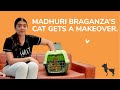 Madhuri Braganza S Cat Had The Most Relaxing Time At Our Spa I HUFT Bangalore I Pet Grooming