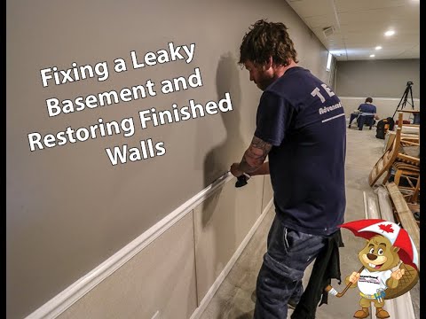 Fixing a Leaky Basement and Restoring Finished Walls