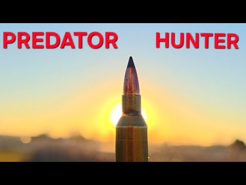 Top 3 Varmint cartridge