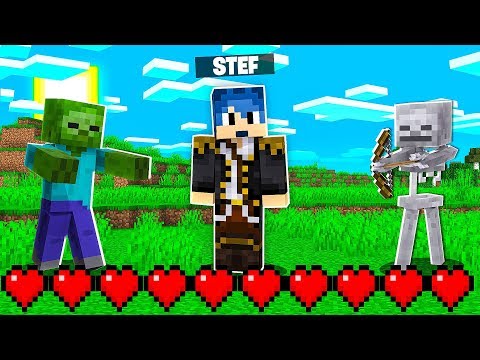SE PRENDI DANNO FINISCE IL VIDEO! - MINECRAFT *DIFFICILE*