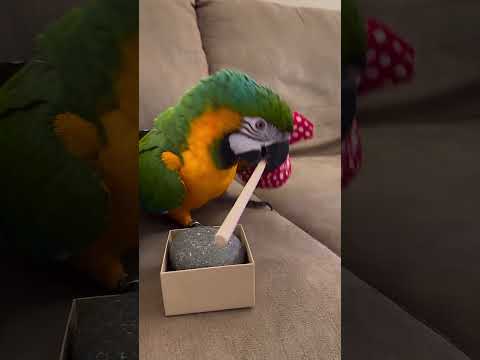 He decided to leave! || Part - 2 #animation #love #funny