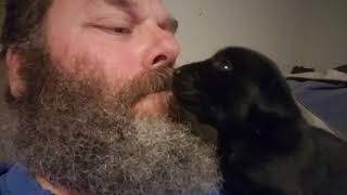 Bottle Feeding A Tiny Puppy