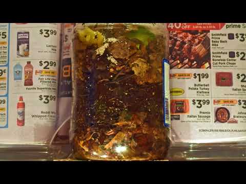 Vermicomposting in a tiny worm bin for 2 1/2 days - light-tolerance test time-lapse