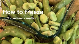 How to freeze fava beans?  You can find convenience method!