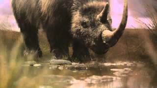 BBC Ice Age Giants trailer