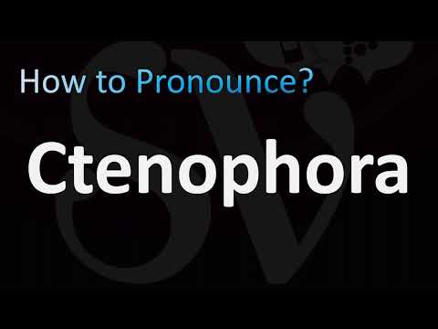 How to Pronounce Ctenophora (marine plankton)