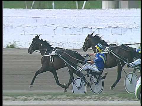 Trotto 23/09/2016 - 3ª corsa