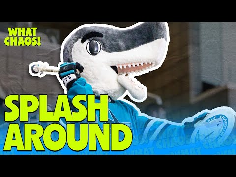 The San Jose Sharks are so silly