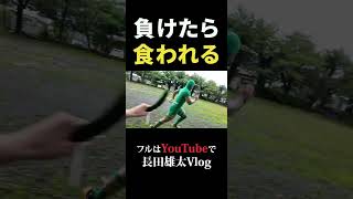 負けたら食われる