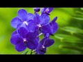 Привітання з 8 березня 