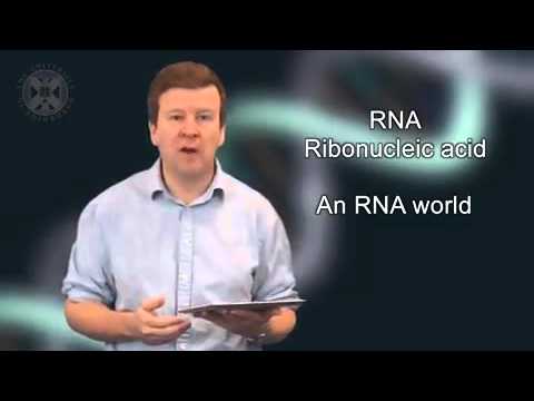 1.6 - Coursera: Origins of Life: Building Blocks