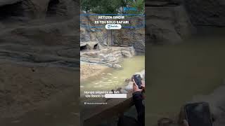 Berita Solo Hari Ini: Netizen Sindir Harga Es Teh Solo Safari, Gibran Langsung Siap Revisi Harga