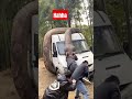 Big Snake Eat Human Youtubeshorts Shorts
