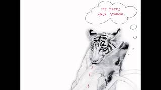 Neko Case - Favorite