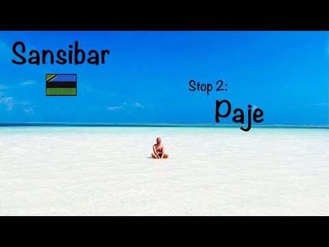 12 Tage Sansibar (2/3) | Paje, Pingwe & Jozani Forest | Vlog 2024