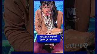 أخطبوط يلتصق بقوة بوجه صياد على متن قارب في الفلبين thumbnail