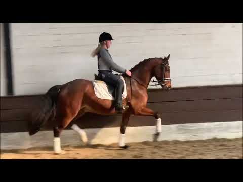 FINO 4j. v. Finnigan - Fischermans Friend    for sale