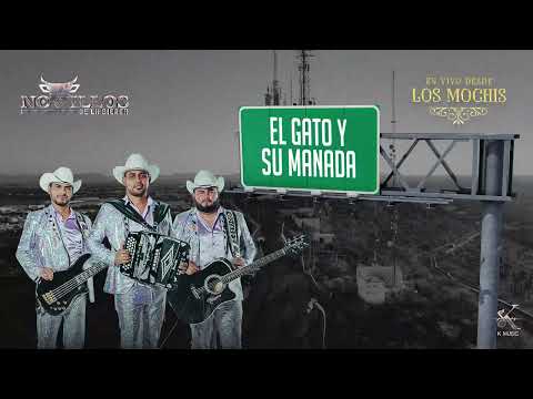 Novillos De La Sierra - El Gato y Su Manada [Visualizer]