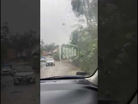 Chachapoyas: Árbol y piedras complican tráfico en barrio Z