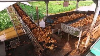 Download lagu LAPTOP SI UNYIL | REJEKI POHON PALEM (27/03/19) PART 2 mp3 Download lagu LAPTOP SI UNYIL | REJEKI POHON PALEM (27/03/19) PART 2 mp3