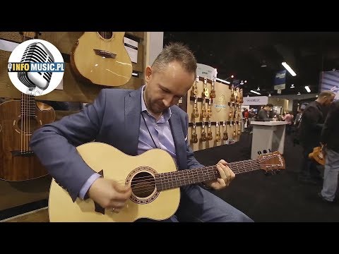 Пример звучания акустической гитары Washburn AGM5K