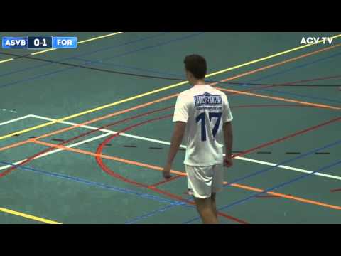 Samenvatting ASVB-GSAVV Forward