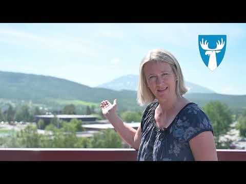 Velkommen til Tynset sommeren 2021!