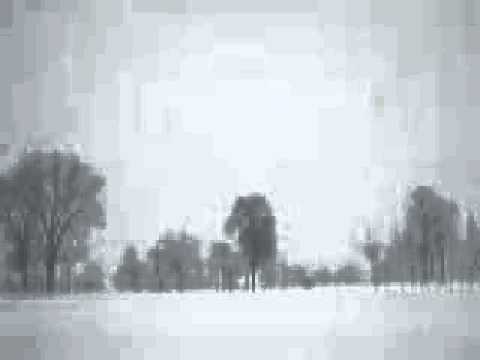 Santa Sangre-L'amaro niente