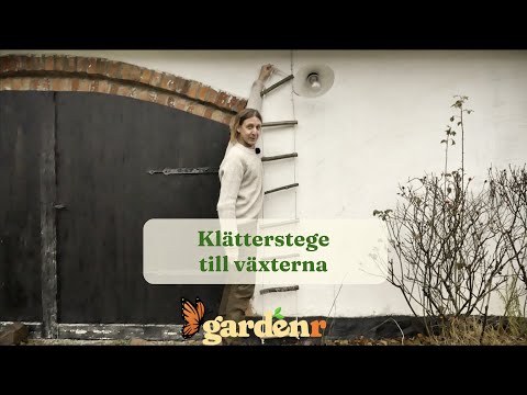 Climbing ladder for the plants - Gardenhacks by GardenR