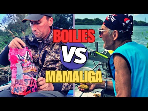 PESCUIT LA CRAP PE SĂLBATIC CU BOILIES ȘI MĂMĂLIGĂ