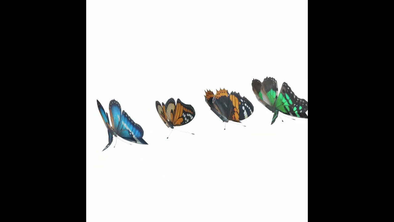 Butterflies looping animation VR - AR - low-poly 3D Model