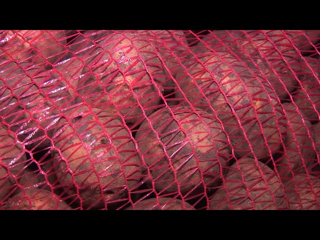 В Иркутской области объявлен карантин