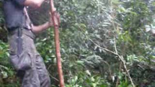 preview picture of video 'Acampamento Salto dos Macacos - Julho 2009 - Parte 3'
