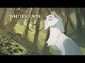 WCanimated / Into the wild Casting Call / Whitestorm audition (1/2)