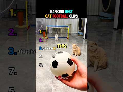 Ranking Best Cat FootBall Clips😻🔥 #shorts