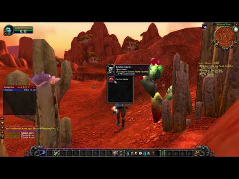 Lets play WoW Classic #1 First steps and boars
