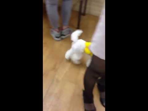 2013-06-26染毛課程