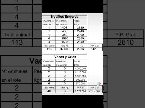 Precios Ganado Feria Car Bulnes 10/9/25 #Chile #Ganaderia #caballos #chile #toros #vaca #bulnes