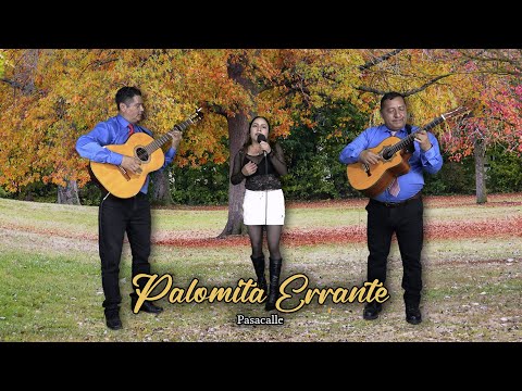 Palomita Errante - Pasacalle | Judith Silva