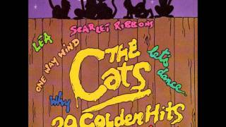 The Cats What A Crazy Life Video